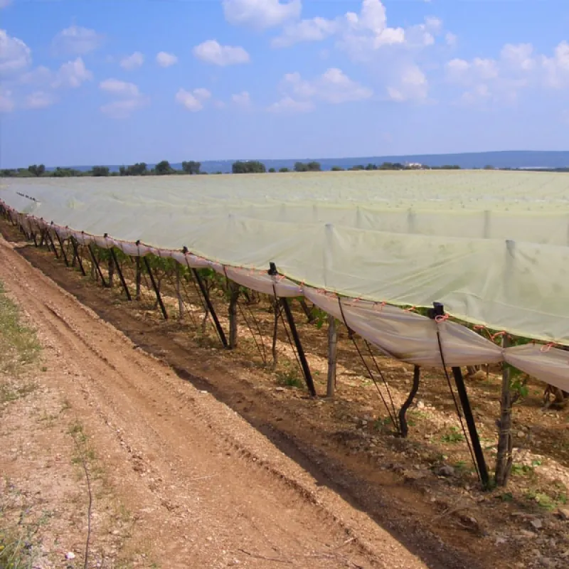 Frost blanket / agricultural covers