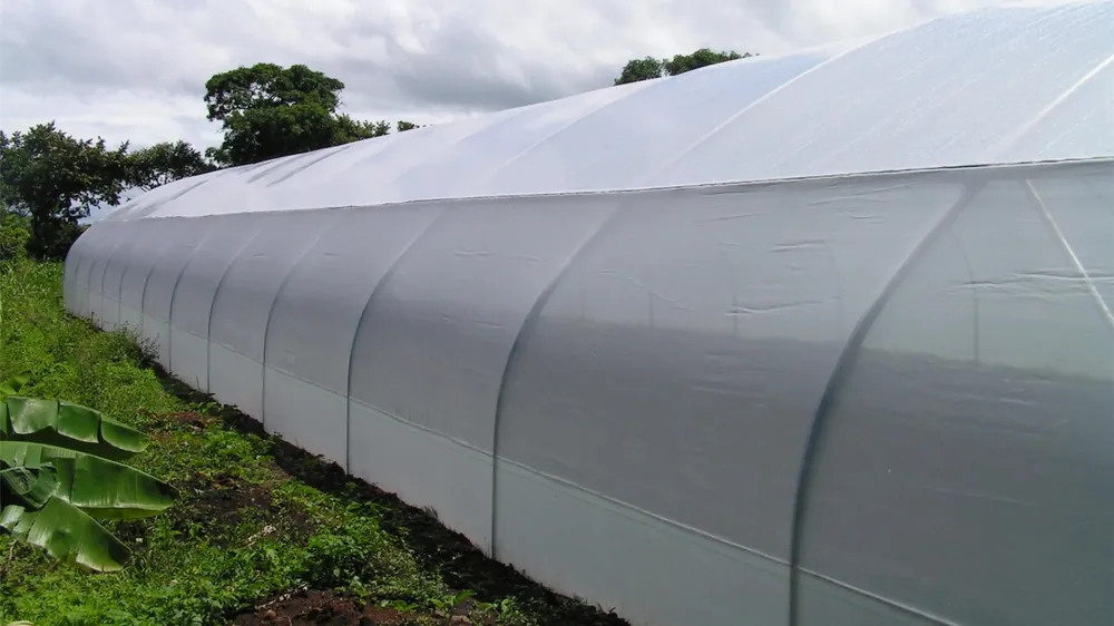 Greenhouse covers & films